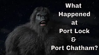 What Happened at Port Lock - Port Chatham Alaska