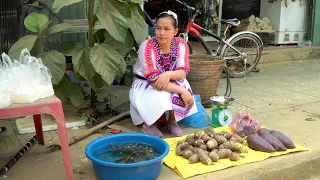 Carp Harvest & Taro Goes to the central market sell | Lý Thị Ca