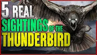 5 Real Thunderbird Sightings | Giant Monster Bird Sightings - Darkness Prevails