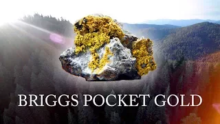 Briggs Pocket Gold