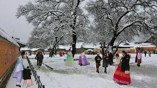 Snowy GYEONGBOKGUNG Palace in Seoul, Heavy Snow Seoul, Snow Asmr Ambience, Seoul Travel Walker.