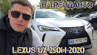 LEXUS UX 250H LUXURY AWD 2020 на огляді в ТрендАвто