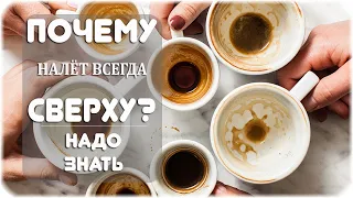 Почему налет в кружке скапливается по верхней кромке жидкости?