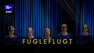 Fugleflugt // DR Pigekoret (LIVE)