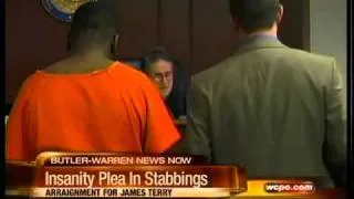 Double stabbing suspect pleads insanity