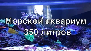 Морской рыбный аквариум на 350 литров