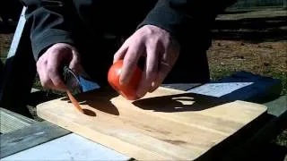 AEB L Test Knife Reground to Zero vs Tomato