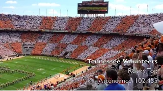 The Greatest American Sports Fans