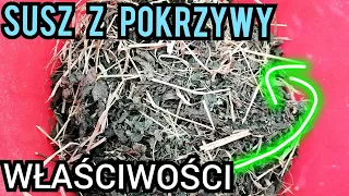 Susz z pokrzywy - właściwości dla kur.