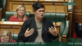 Litter (Increased Infringement Fee) Amendment Bill - First Reading - Video 2