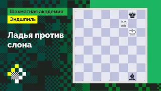 Ладья против слона. Про «хорошие» и «плохие» углы // Эндшпиль