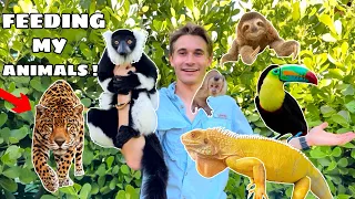 FEEDING all THE EXOTIC ANIMALS at MY ZOO !