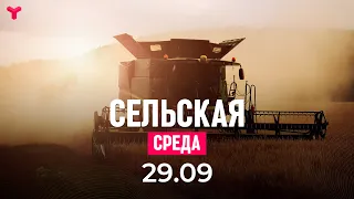 Сельская среда 29 09 2021