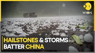 Three dead as hailstones & storms batter China | WION Climate Tracker