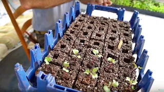 Making Soil Blocks:  #1 Method For Starting Seeds (w/ Jim Kovaleski)