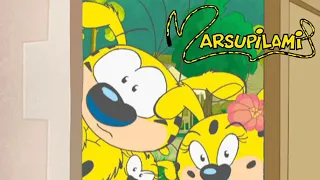 Marsupilami : Season 2, Episode 18 - Marsupilami Foundation ⚡