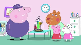 Peppa Pig | Doctor Hamster | Peppa Pig Official | Family Kids Cartoon