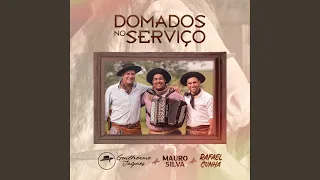 Domados no Serviço