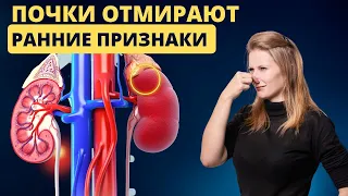 В больнице молчат специально! Первые симптомы проблем с почками, которые еще можно...#здоровье