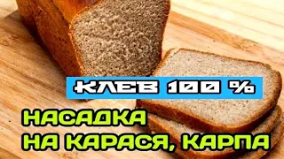 ТЕСТО ДЛЯ РЫБАЛКИ НА КАРАСЯ | НАСАДКА ИЗ ЧЕРНОГО ХЛЕБА НА КАРАСЯ, КАРПА, ПЛОТВУ