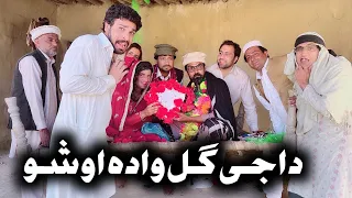Daji Gul Wada AOS How Funny Video By Gull Khan vines 2023 #comedy #gullkhanvines