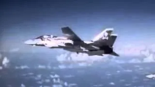 Navy F- 14 Tom Cat Super Sonic War Bird