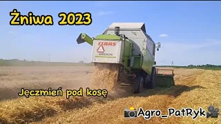 💥Żniwa jęczmienia z CLAAS'Ą 2023💥Claas Medion 310💪🤙 #claas #żniwa #jęczmień #kombajn #żniwa2023