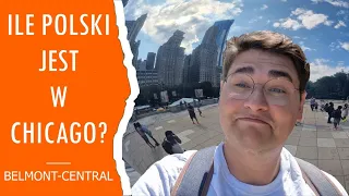 Polskie Chicago. Czy coś jeszcze z niego zostało? Belmont-Central #Ameryka