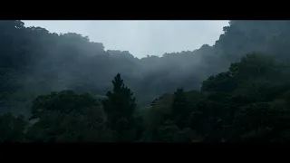 尺八 Shakuhachi - japanese bamboo flute - Arashi no ato- After the storm - 嵐の後