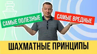 Самые полезные и самые вредные шахматные принципы