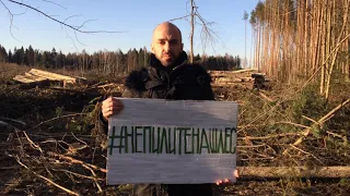 Александр Снегирёв требует прекратить уничтожение леса в Москве