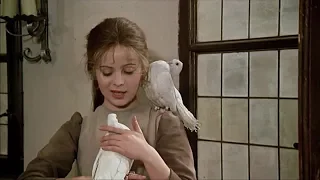 Karel Gott - Wo, kleiner Vogel, ist dein Nest? (Kdepak, ty ptáčku, hnízdo máš) 1976