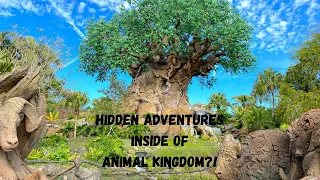 Disney’s world Animal kingdom 2024 ~Best Hidden Gems!