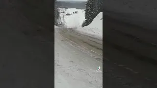 МАЗ лесовоз не вышел в подъём.