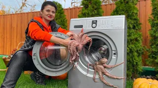 Cooking Octopus in the Washing Machine! Soft and Tender Meat of a Sea Delicacy