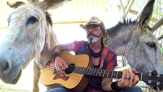 Donkeys Lilly & Hazel Loving This Classic Song by America sung by Christopher Ameruoso