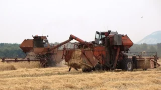 Harvester SK-5M1, unloading grain /// Комбайн СК-5М1, выгрузка зерна