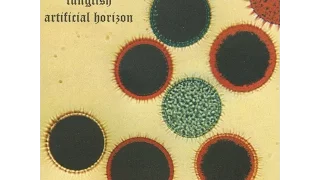 Lungfish - Artificial Horizon (1998) [Full Album]
