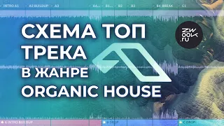 Про трек #1 Beatport в стиле Anjunadeep Organic House (zwook, Никита Сталкер)