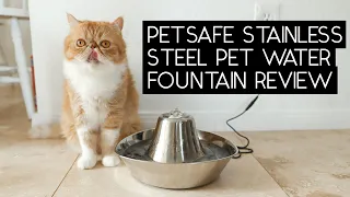 PETSAFE SEASIDE STAINLESS STEEL PET WATER FOUNTAIN REVIEW | SVEN AND ROBBIE