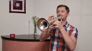 Hallelujah trumpet cover