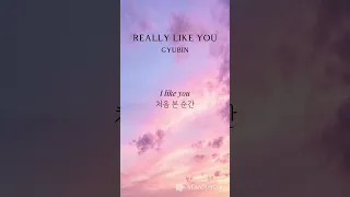 REALLY LIKE YOU - GYUBIN 【lyrics】