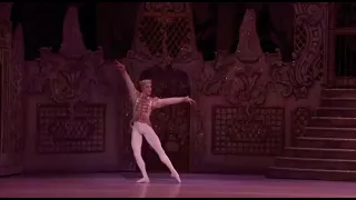 NUTCRACKER - Sugar Plum Prince (Steven McRae - Royal Ballet)