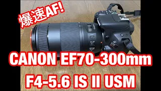 Canon EF70-300mm F4-5.6 IS II USM