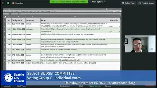 Seattle City Council Select Budget Committee 11/19/20