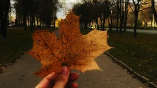 Autumn in Grodno 🇧🇾