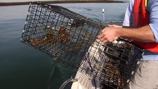 The New Brunswick Adventures - "Fundy iles" Bay of Fundy - Worlds highest tides.