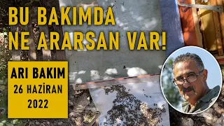 ARI BAKIM 26 Haziran 2022 (Ne ararsan var! Ana arı verme, işaretleme, kovan birleştirme)