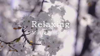 3HRS, Handel - Menuetto in G minor(arr. Wilhelm Kempff) Beautiful Piano 벚꽃이 만개한 기분 좋은 봄날 같이 기다리자 🌸💕