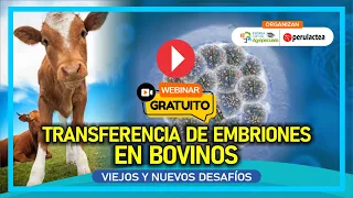 Clase Gratuita: Transferencia de Embriones en Bovinos